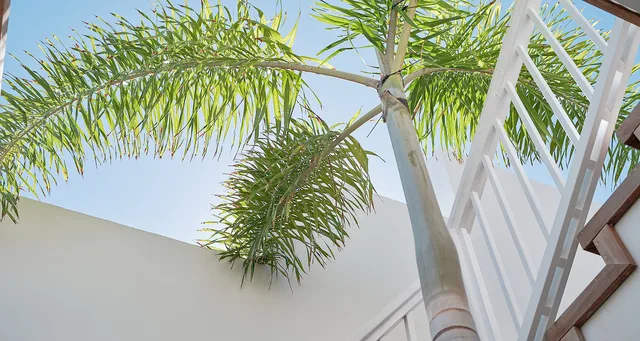 Avee---Basse-def--2025--Basse-def---Jeanne-LE-MENN_26-header at Villa Aveeview in St Barts - St Barts luxury vacation rental