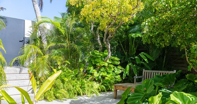 Bobonnière---Jeanne-LE-MENN-1-header at Villa Bonbonniere in St Barts - St. Barts Villa Rental