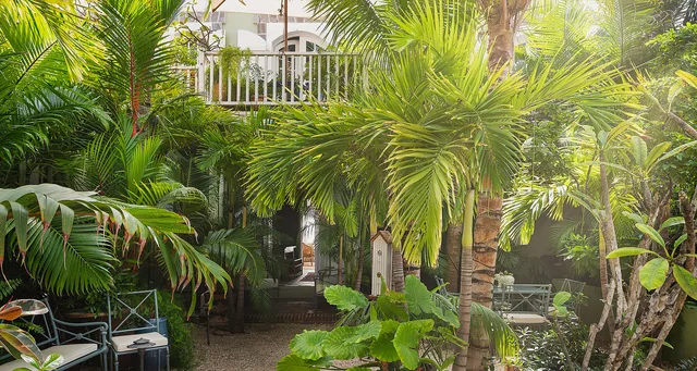 _MG_7158-header at Villa Botanist in Gustavia - St. Barts Villa Rental