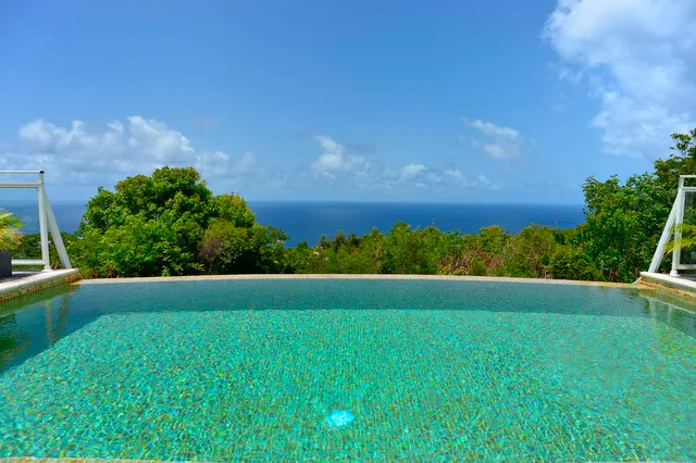 pool ocean view at Villa Dasha in St Barts - St. Barts Villa Rental