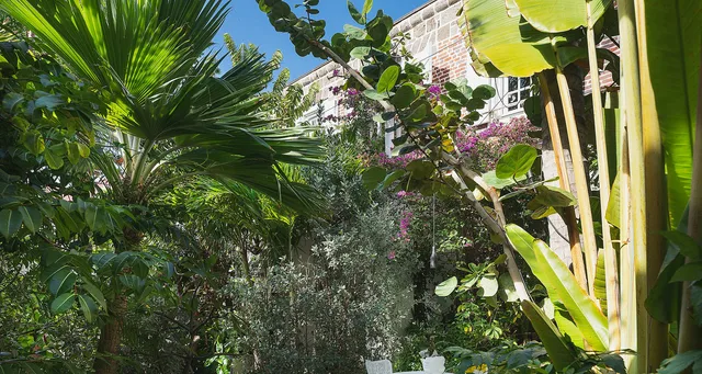 _MG_9855-header at Villa Greenhouse in St Barts - St. Barth Villa Rental