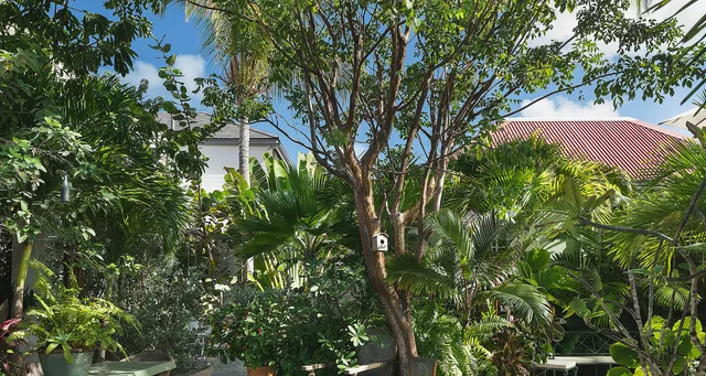 _MG_9839-header at Villa Greenhouse in St Barts - St. Barts Villa Rental