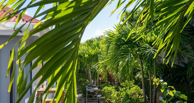 Maison-Bleue30-header at Villa La Maison Bleue in St Barts - St Barts luxury vacation rental