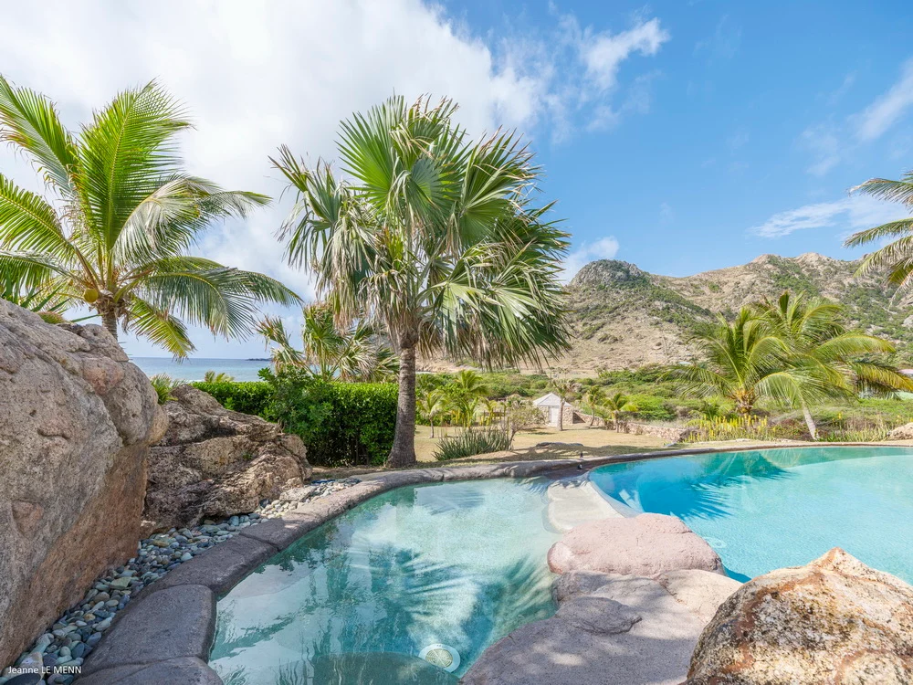 Curved pool with natural stone edges surrounded by trees and ocean view at Villa La Roche dans l’Eau, Grand Fond