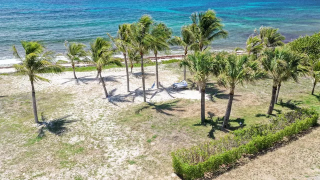 garden at Villa Luffy in St Barts - St. Barts Villa Rental