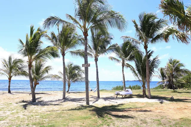 garden at Villa Luffy in St Barts - St. Barth Villa Rental