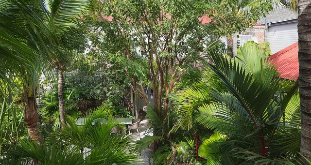 _MG_7173-header at Villa Swedish House in St Barts - St. Barts Villa Rental