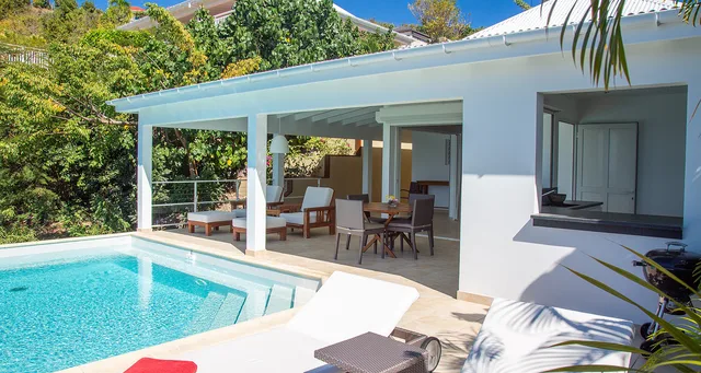 Tortue_HD©-Axelle-Cappelli-Photography13032019_0020-header at Villa TOR in Camaruche - St. Barth Villa Rental